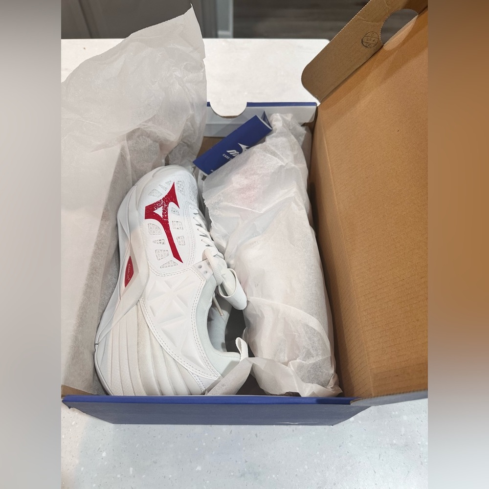 BRAND NEW MIZUNO VOLLEYBALL SHOES